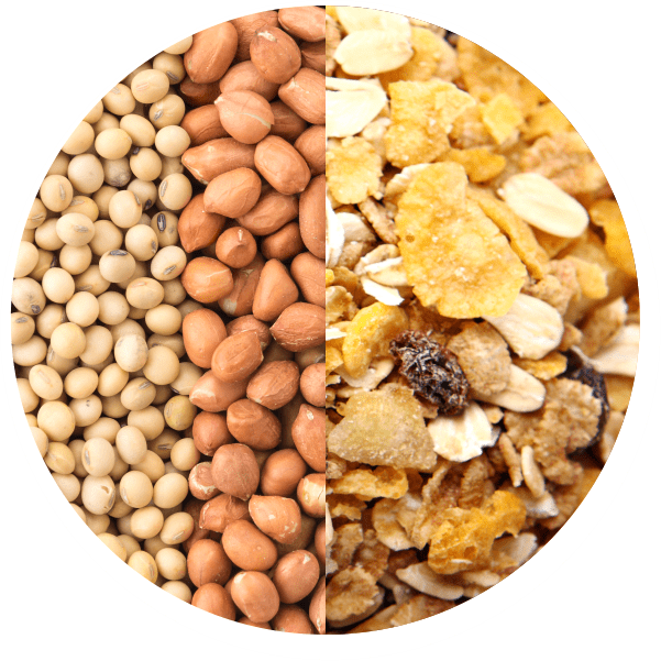 granos y cereales